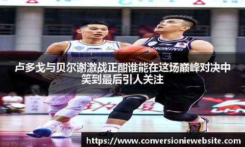 bw西汉姆联中国官网