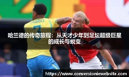 威廉体育